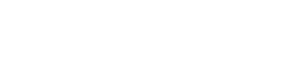 Informatique Bluetech Inc